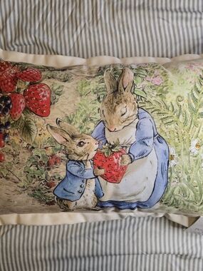 🍓🐰Beatrix Potter PETER RABBIT Decorative Pillow